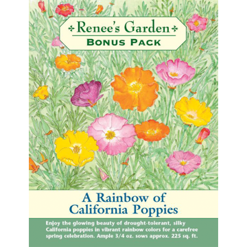 Eschscholzia, A Rainbow of California Poppies, Bonus Pack ~ 225 sqft