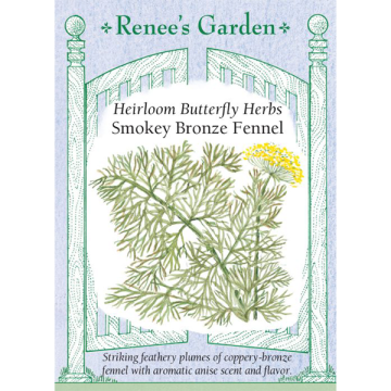 Foeniculum, Smokey Bronze Fennel, ~ 200 seeds