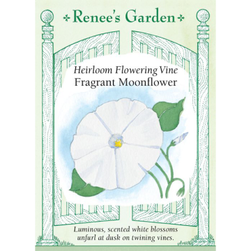 Ipomoea, Moonflower ~ 20 seeds