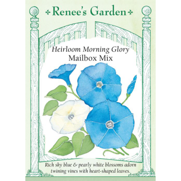 Ipomoea, Morning Glory, Mailbox Mix ~ 110 seeds