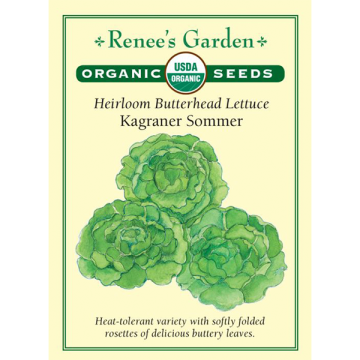 Lactuca, Butterhead Lettuce, Kagraner Sommer ~ 1450 seeds