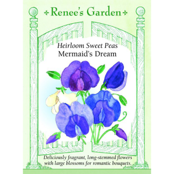 Lathyrus, Sweet Pea, Mermaid's Dream ~ 40 seeds