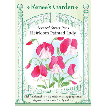 Lathyrus, Sweet Pea, Scented Painted Lady ~ 30 seeds