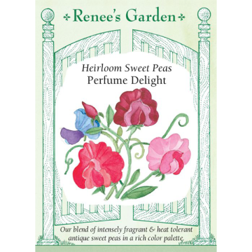 Lathyrus, Sweet Peas, Perfume Delight ~ 40 seeds