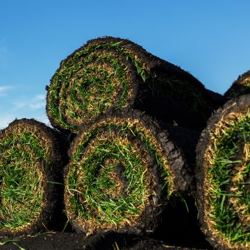 Shade Sod Rolls