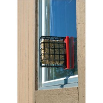 Songbird Essentials SERUBSWFR Red Suet Window Feeder