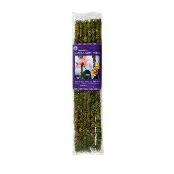 SuperMoss, Moss Stake 18" Fresh Green, 6 Pack