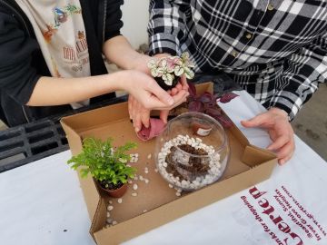 Terrarium Workshop | Saturday, February 1st