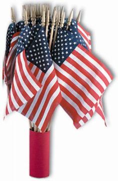 Annin US Hand Flag, 4"x 6"