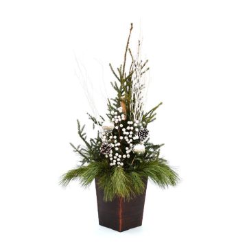 'Winter Wonderland' Assortment, Spruce Tip Container