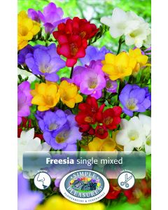 Freesia, single mixed, 10pk bulbs