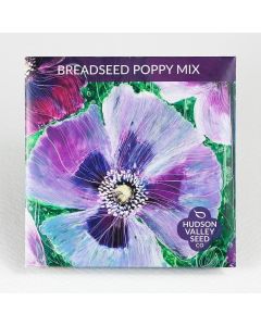 Papaver, Breadseed Poppy Mix ~ 200 seeds