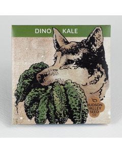 Brassica, Kale, Dino Kale ~ 100 seeds