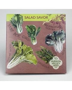 Mix, Salad Savor ~ 500 seeds