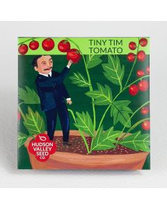 Lycopersicum, Tomato (Bush), Tiny Tim Tomato ~ 25 seeds