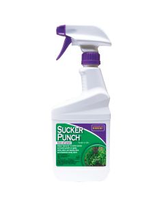 BONIDE 2761 Sucker Punch® Ready-to-Use, 1 pint