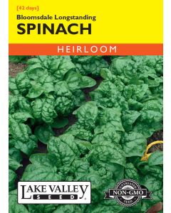 Spinacia, Spinach, Bloomsdale Longstanding Spinach, 4g