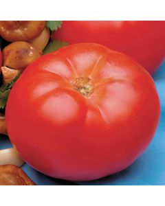 Tomato (Pole), 'Beefmaster'