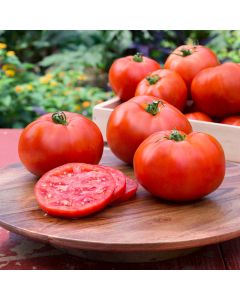 Tomato (Pole), 'Better Boy'