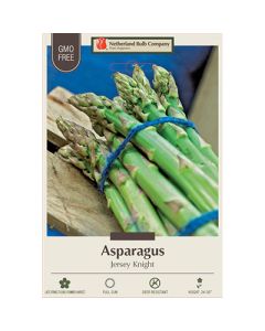 Asparagus 'Jersey Knight'