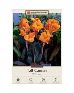 Canna, Tall Cannas 'Wyoming'