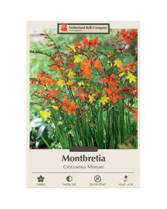 Crocosmia, Montbretia Mix