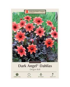 Dahlia, Dark Angel® 'Dragon Ball'