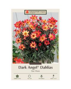 Dahlia, Dark Angel® 'Star Wars'