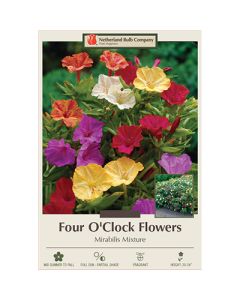 Mirabilis, Four O'Clock Mix