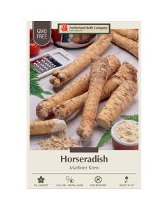 Armoracia, Horseradish 'Marliner Kren'