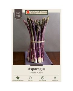 Asparagus 'Sweet Purple'