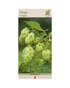 Humulus, Hops 'Nugget'