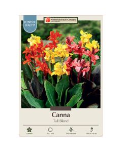 Canna, Tall Cannas Tall Blend