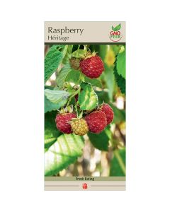 Rubus, Raspberry 'Heritage'