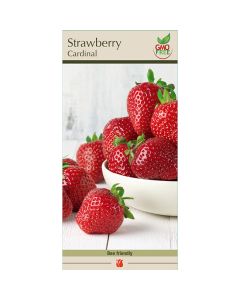 Fragaria, Strawberry 'Cardinal'