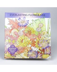 Mix, Everlasting Flower Mix ~ 500 seeds