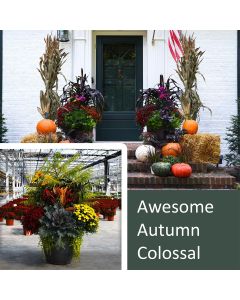 22" Awesome Autumn Colossal, Fall Front Door Package