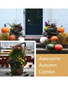 16" Awesome Autumn Combo, Fall Front Door Package