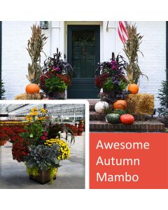 18" Awesome Autumn Mambo, Fall Front Door Package