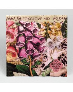 Digitalis, Foxglove Mix ~ 500 seeds