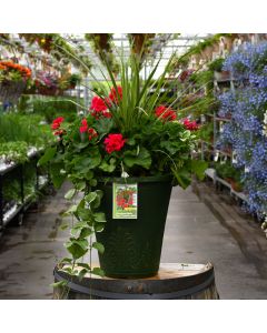 13&quot; Patio Planter Geranium With Spike Mojo Cranberry Splash