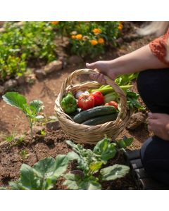 Growing Vegetables: Seed to Harvest | Sunday March 9th