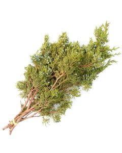 Boughs, Juniper 'Oregon'