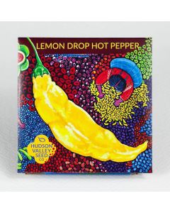 Capsicum, Hot Pepper 'Lemon Drop' ~ 25 seeds