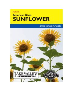 Helianthus, Sunflower, American Giant, 1.5g