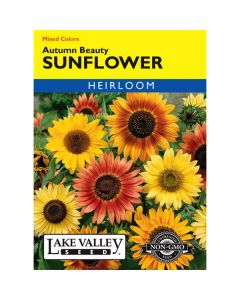 Helianthus, Sunflower, Autumn Beauty, 2g