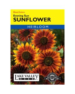 Helianthus, Sunflower, Evening Sun, 2g