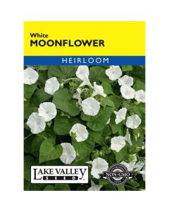 Ipomoea, White Moonflower, 3g