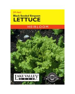 Lactuca, Lettuce, Black Seeded Simpson, 1.5g