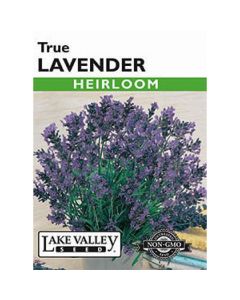 Lavendula, True Lavender